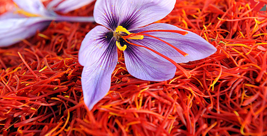 -oyx7f06uou5aop6hsmfvnvtac2jttzty4a5cf494q8