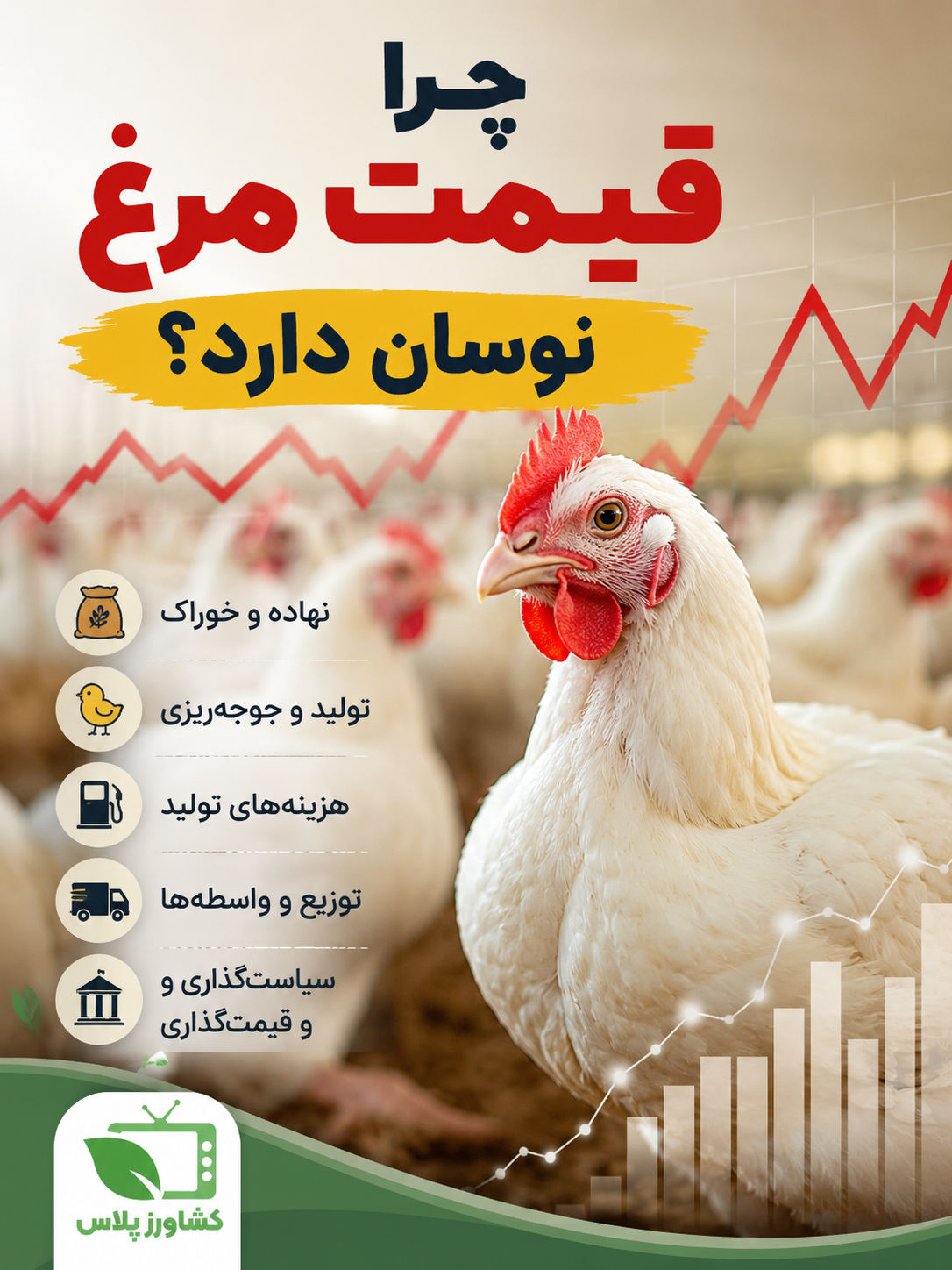 اصلی
