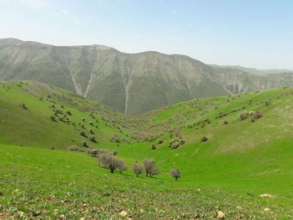 کشاورزپلاس