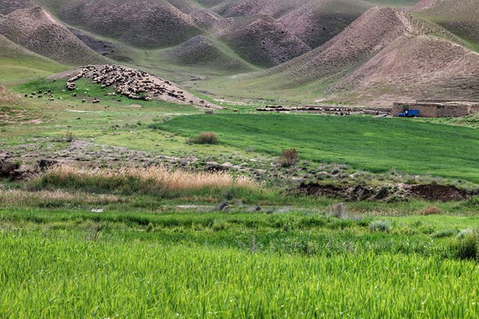 مراتع-کشور-تحت-مراقبت-فعال-سازمان-منابع-طبیعی-و-آبخیزداری-675x450