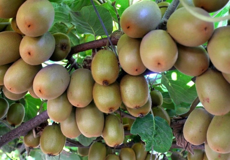 1396013000395662710573084