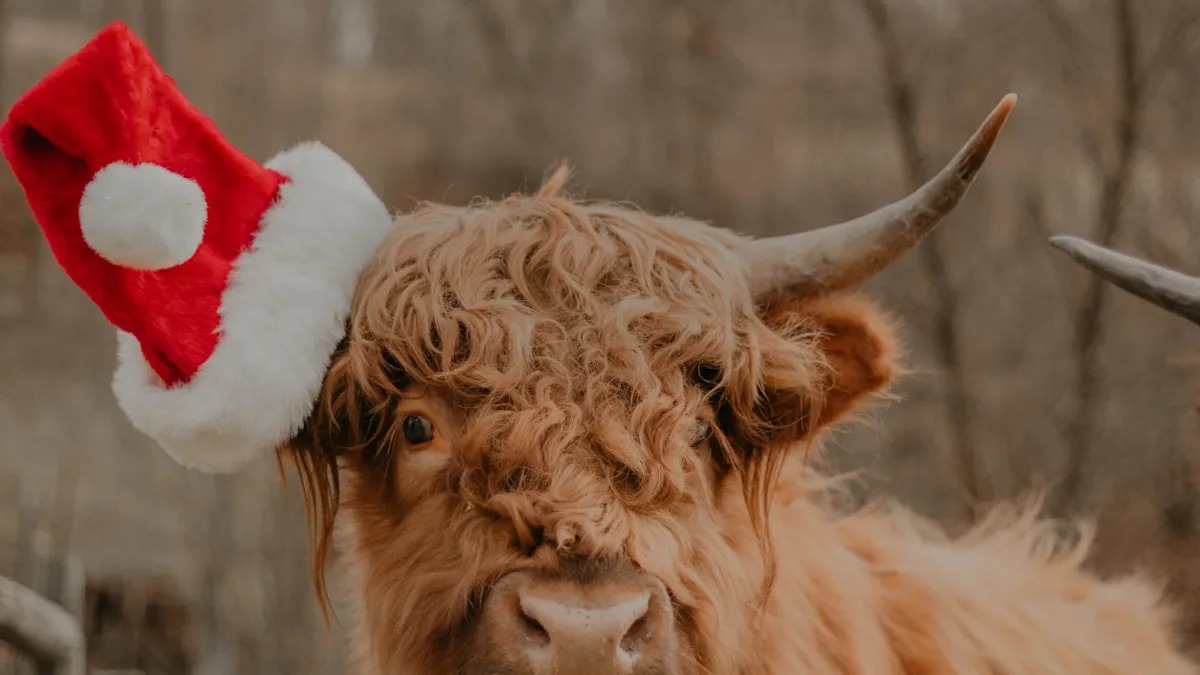 992d2a75a9ccd6b8b24061bc151c420e_11zon