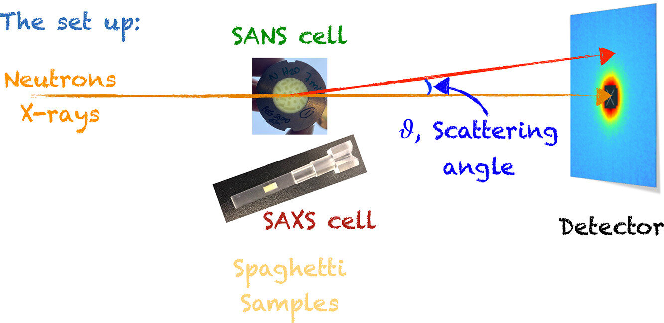 how-to-cook-the-perfec-3