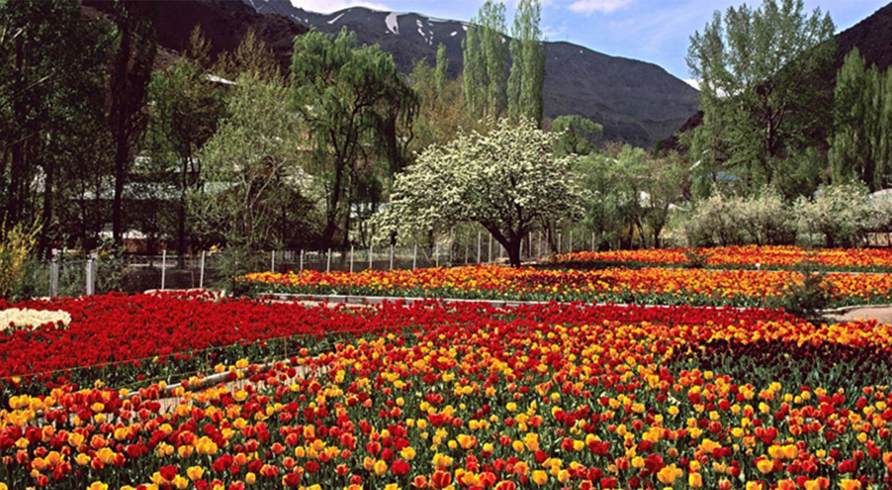 sights-National-Botanical-Garden