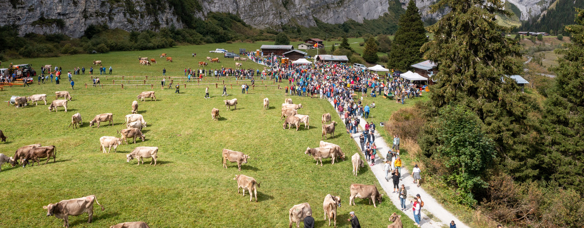 flimslaax_2025_alpabzug_slider_03