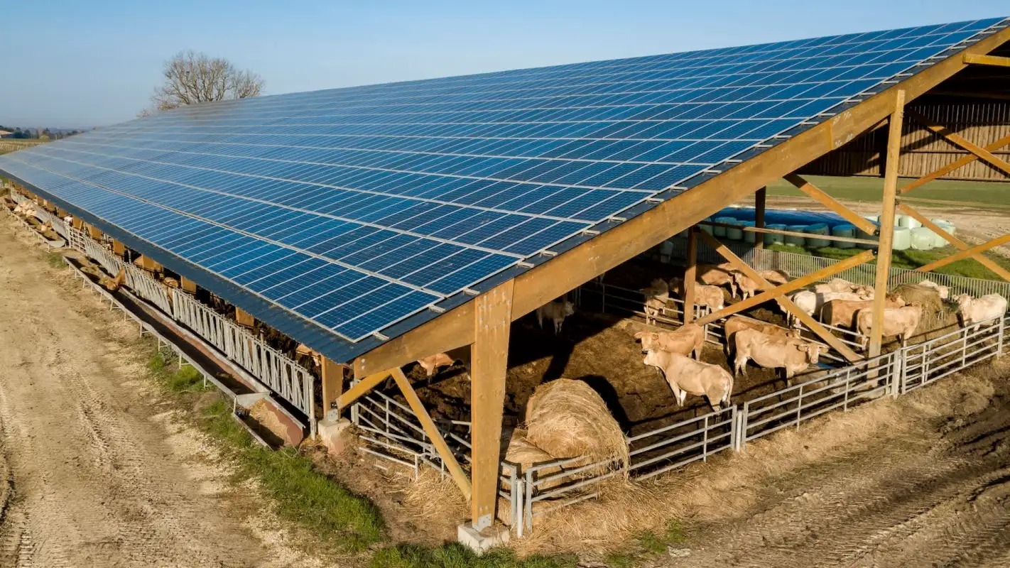 photovoltaic-systemsimage-recdn9OLcKdbRBUDb-1_11zon_11zon