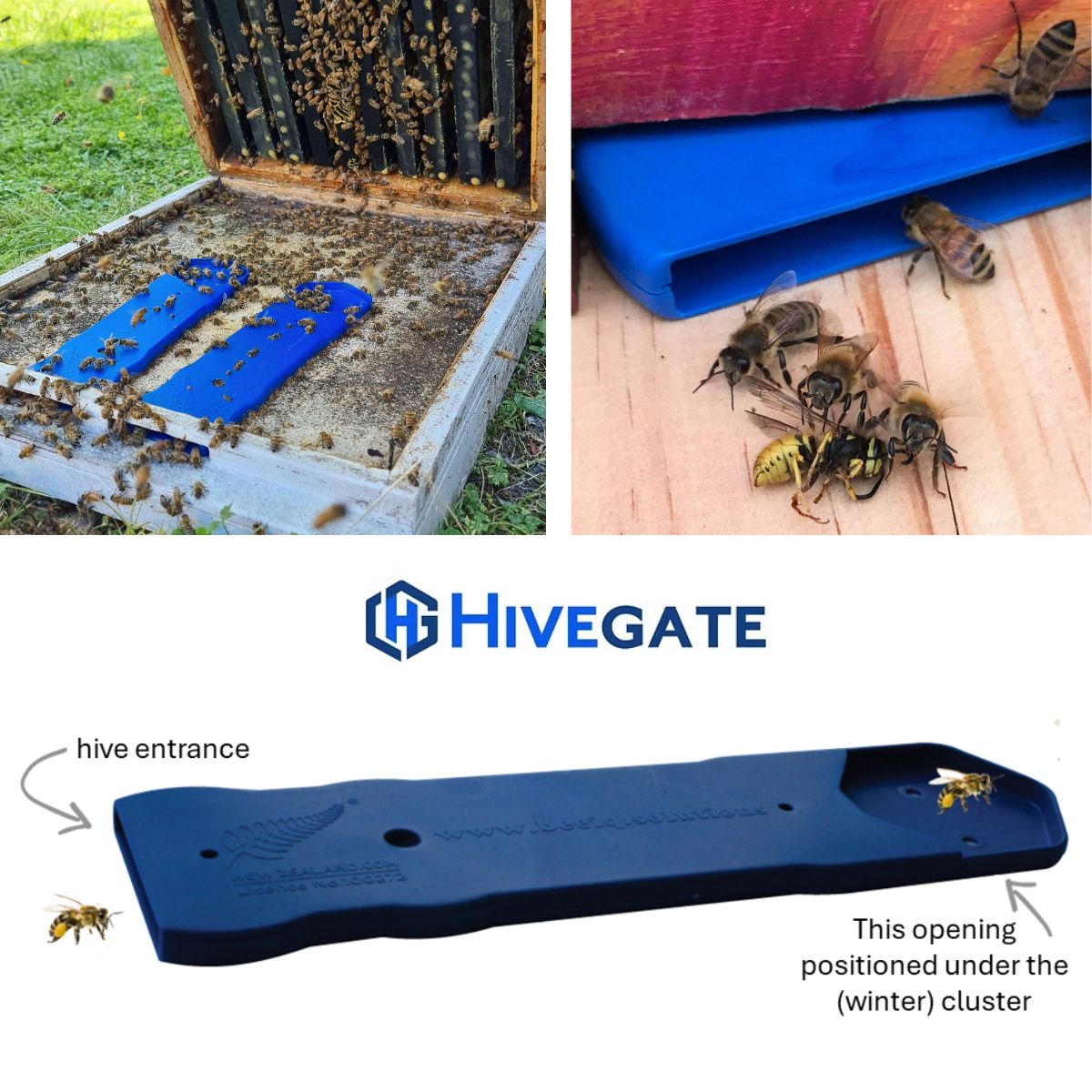 HIVE GATE