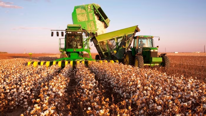 ftcms_b242b654-ece0-4804-8cbf-333993208d42_11zon