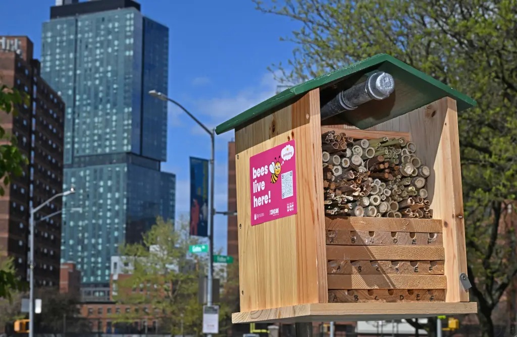 4-25-24-nyc-department-80662022_11zon