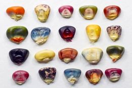 شما نمی‌توانید بر شکم‌های گرسنه، جهانی آرام بنا کنید!