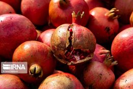 جشنواره انار و انجیر جلفا

