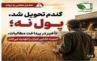 گندم تحویل شد، پول نه؛ تأخیر در پرداخت مطالبات، امنیت غذایی ایران را تهدید می‌کند