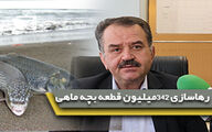 رشد 106 درصدی رهاسازی ماهی در دریای خزر