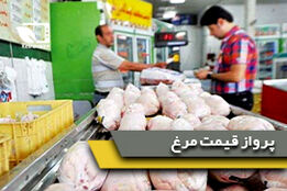 پرواز قیمت مرغ