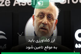 ارز کشاورزی باید به موقع تامین شود
      