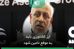 ارز کشاورزی باید به موقع تامین شود
      