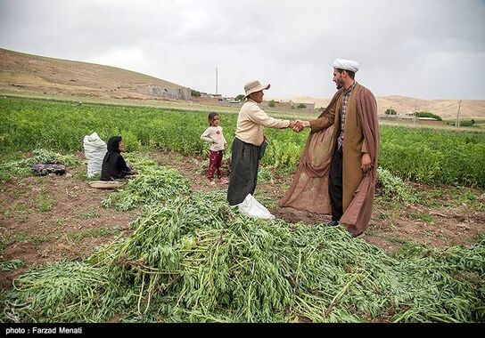 گالری