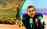 خرید دام عشایر توسط شرکت پشتیبانی امور دام کشور