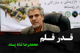 شاه پسند: رسانه به تجدیدنظر سیاست‌های تعاون روستایی کمک می‌کند