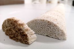 چگونه شرایط محیطی بر جوامع ریزجلبکی و مرجانی تأثیر می‌گذارد؟