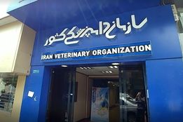 تحول روابط‌عمومی سازمان دامپزشکی؛ از مدیریت بحران تا بازتعریف هویت رسانه‌ای