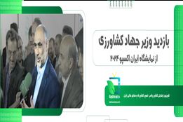 حمایت وزارت جهاد کشاورزی از تولید کنندگان و صادر کنندگان2024