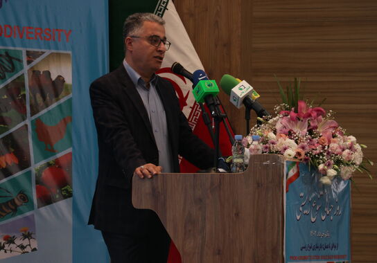 گالری