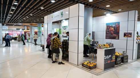 نمایشگاه ارگانیک