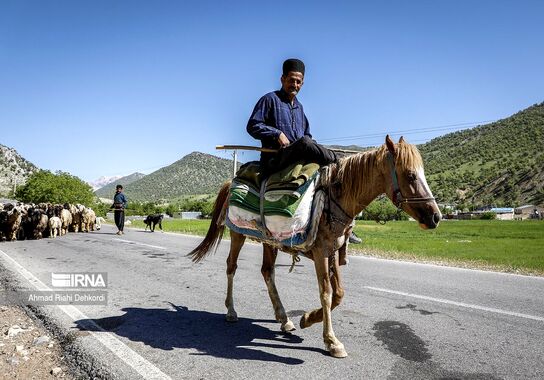گالری