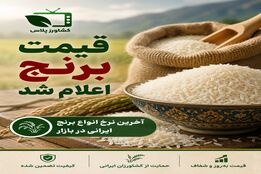 قیمت برنج در میادین و بازارهای میوه و تره بار اعلام شد
