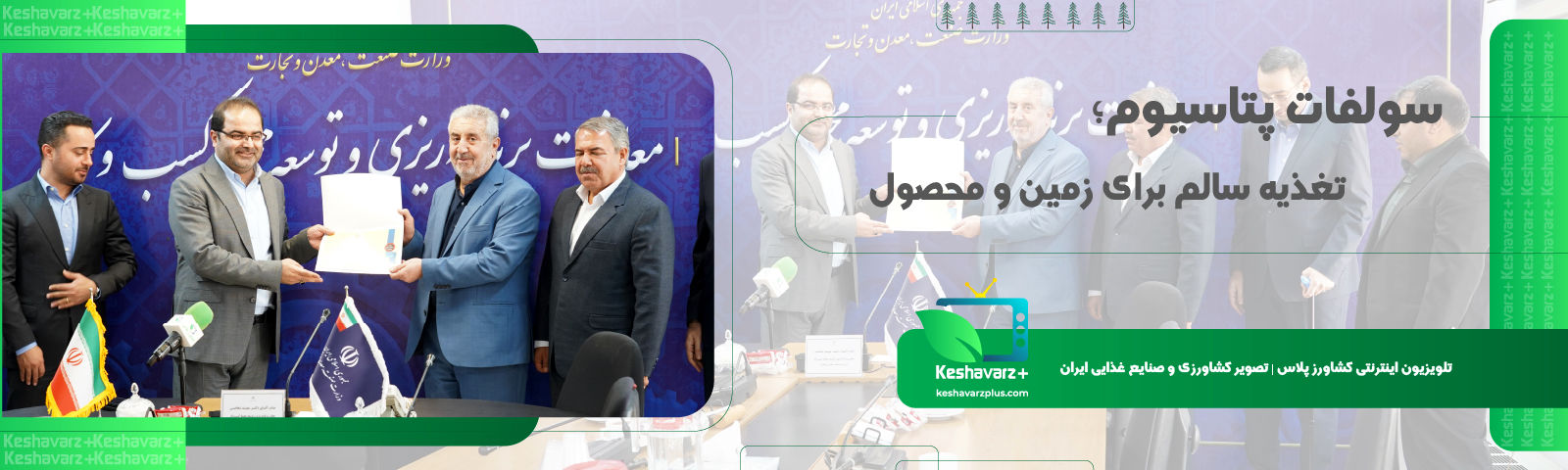 سولفات پتاسیم، تغذیه سالم برای زمین و محصول