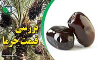 دست ما کوتاه، ( قیمت ) بر نخیل