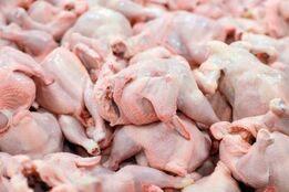 زنگ خطر مرغ ۴۰۰ هزار تومانی به صدا در آمد
