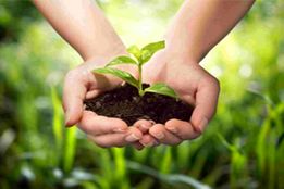 امنیت غذایی از دل جنگل و مرتع می‌روید