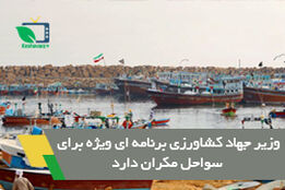 وزیر جهاد کشاورزی برنامه ای ویژه برای سواحل مکران دارد
