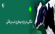 نکاتی درباره بیماری تب برفکی