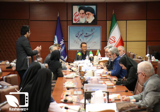 گالری