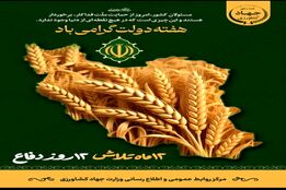 از نگاه بصری تا نقد دلسوزانه؛ هارمونی یک گفتگو در کشاورزپلاس با یک تحلیل نقادانه