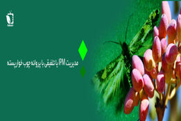 مدیریت IPM یا تلفیقی پروانه چوب خوار پسته(پروانه کرمانیا)
