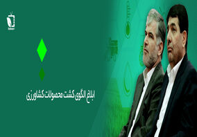الگوی کشت محصولات کشاورزی ابلاغ شد