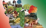 ۱۰ همت سرمایه از طریق اوراق سپرده بخش کشاورزی جذب شد