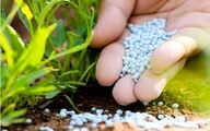 بحران کود در آمریکا؛ از شوک قیمت تا آشفتگی در مزارع