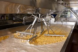 دگرگونی صنعت لبنیات با شیفتگی بدنسازان آمریکایی به پروتئین!