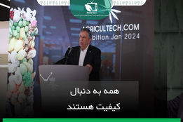 همه به دنبال کیفیت هستند