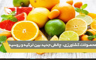 محصولات کشاورزی، چالش جدید بین روسیه و ترکیه