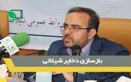 باسازی ذخایر شیلاتی/ تولید 1 میلیون تنی محصولات آبزی