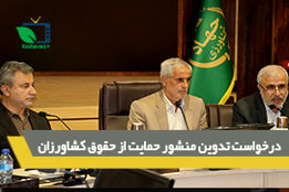 درخواست تدوین منشور حمایت از حقوق کشاورزان
