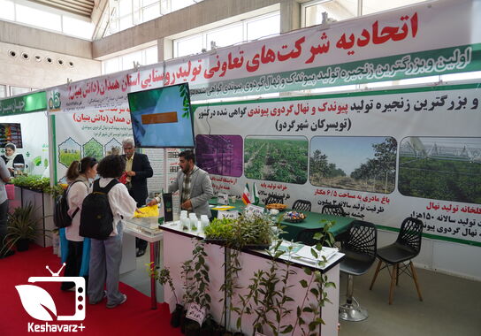 گالری