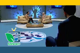 کشاورزی شهری راهی برای اقتصاد مقاومتی