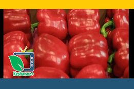 صادرات محصولات کشاورزی